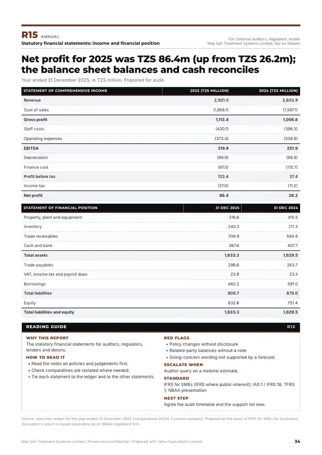 Financial statements, Treatment company