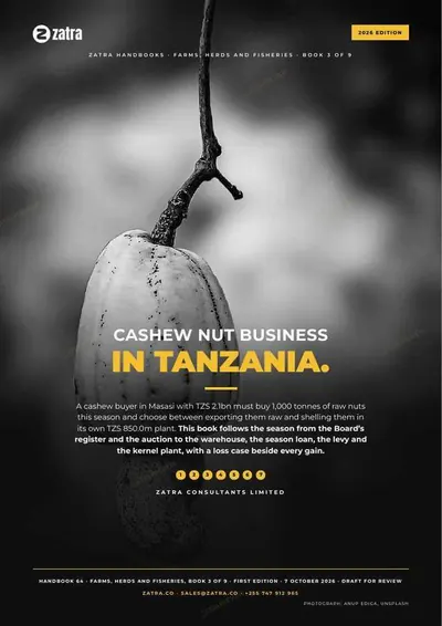Cashew Nut Business in Tanzania, cover shown whole