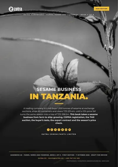 Sesame Business in Tanzania, cover