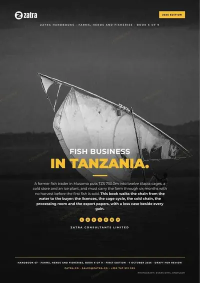 Fish Business in Tanzania, cover