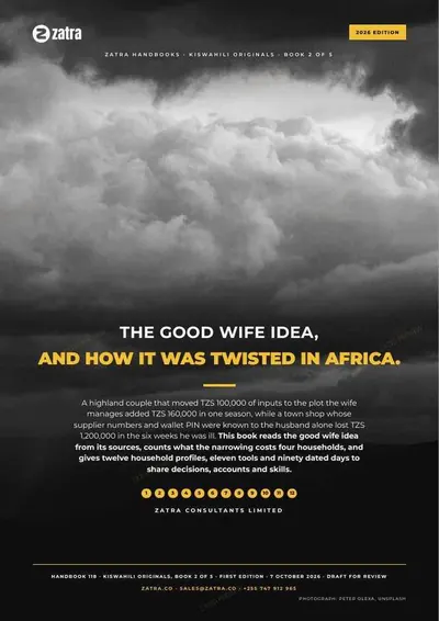 The Good Wife Idea, and How It Was Twisted in Africa, cover