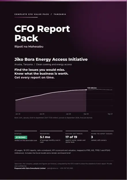 Financial reports, Clean cooking and energy access: finished specimen shown whole