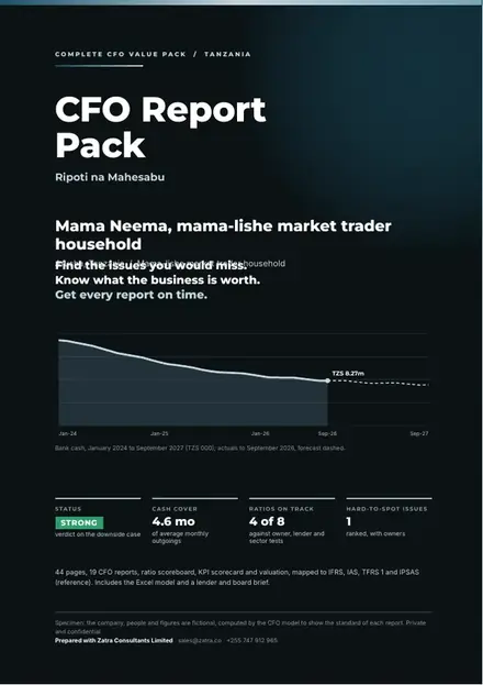 Financial reports, Mama-lishe market trader household: finished specimen shown whole