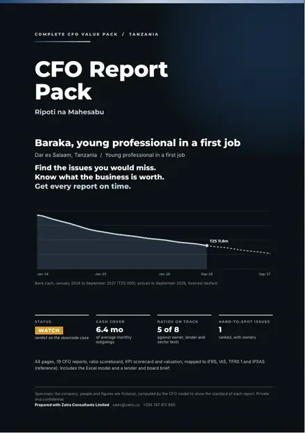 Financial reports, Young professional in a first job: finished specimen shown whole