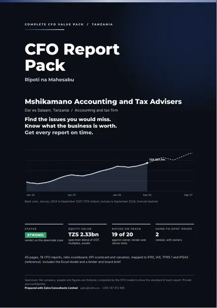 Financial reports, Accounting and tax firm: finished specimen shown whole