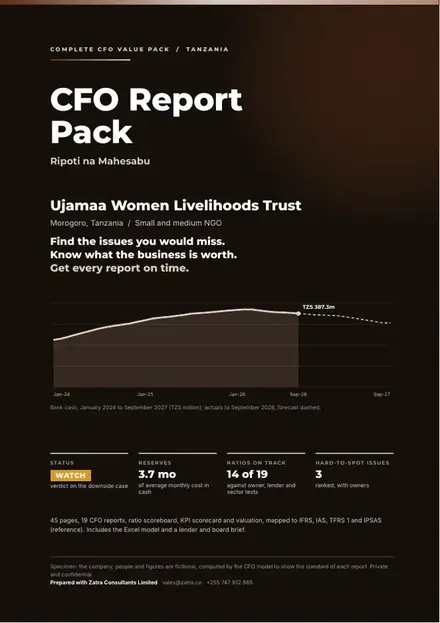 Financial reports, Small and medium NGO: finished specimen shown whole