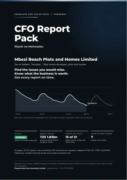 Financial reports, Real-estate developer, plots and houses: finished specimen shown whole