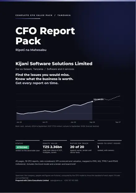 Financial reports, Software and IT services: finished specimen shown whole
