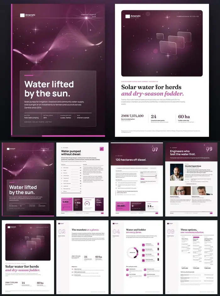 Investor documents, Amenshi Solar Pumps: finished specimen shown whole