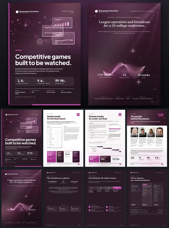 Investor documents, Brasswick Interactive: finished specimen shown whole