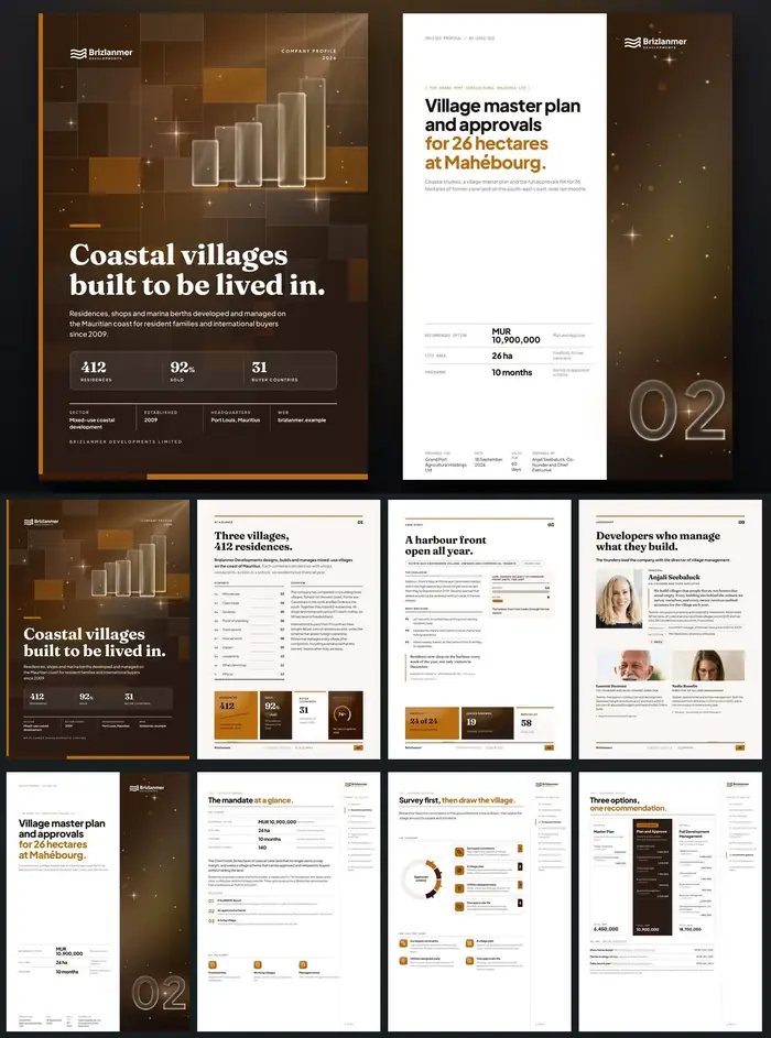 Investor documents, Brizlanmer Developments: finished specimen shown whole