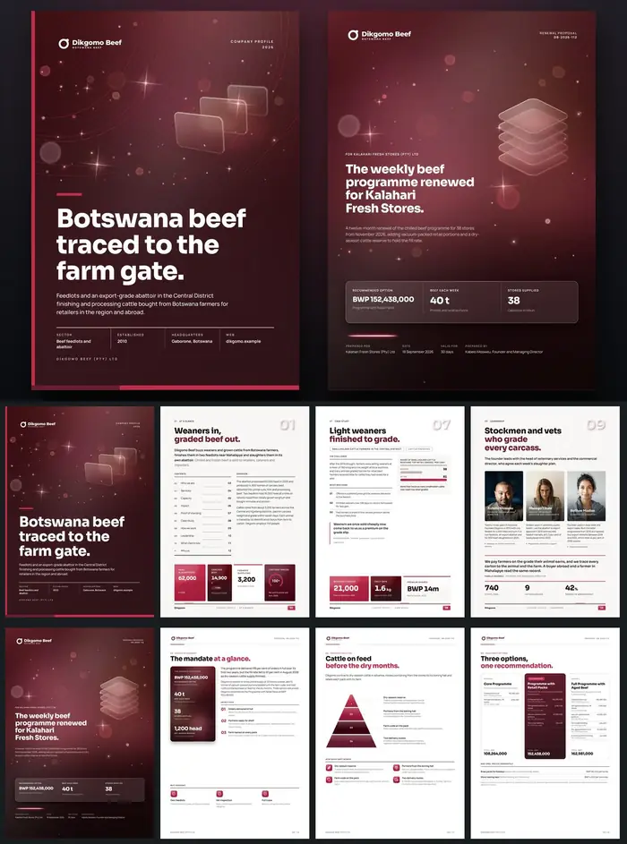 Investor documents, Dikgomo Beef: finished specimen shown whole