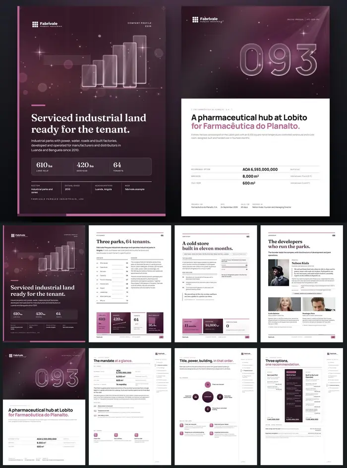 Investor documents, Fabrivale Parques Industriais: finished specimen shown whole
