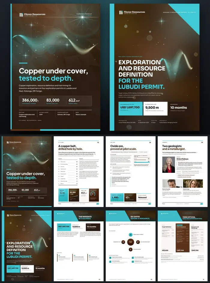 Investor documents, Filonor Ressources: finished specimen shown whole