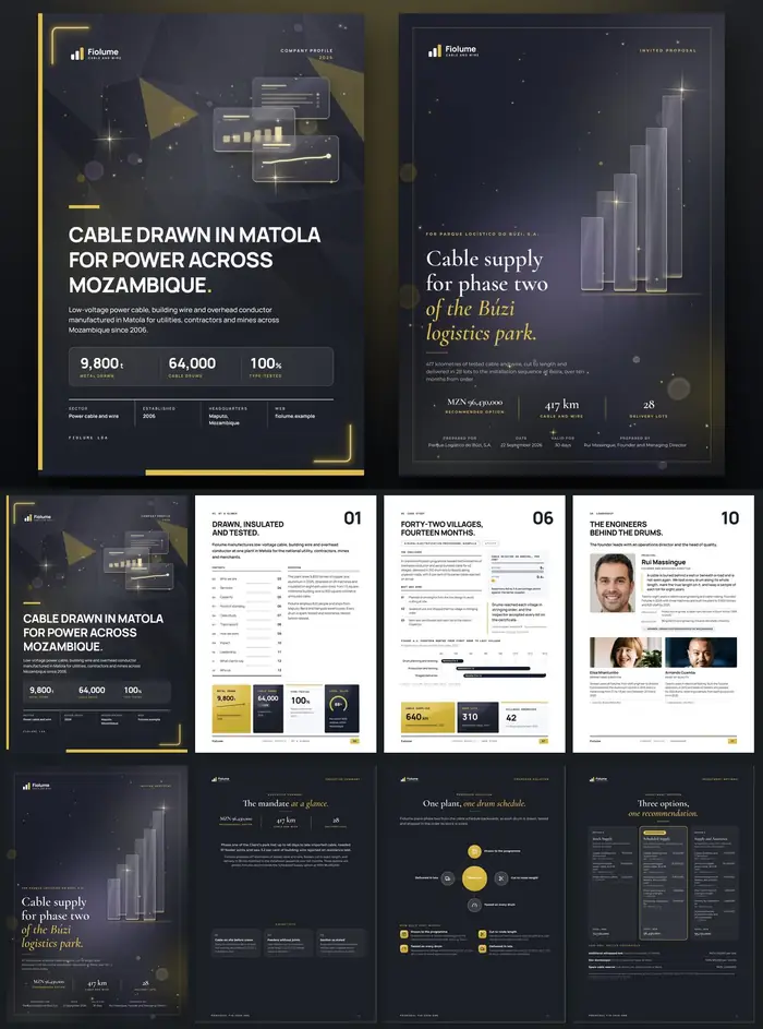 Investor documents, Fiolume: finished specimen shown whole