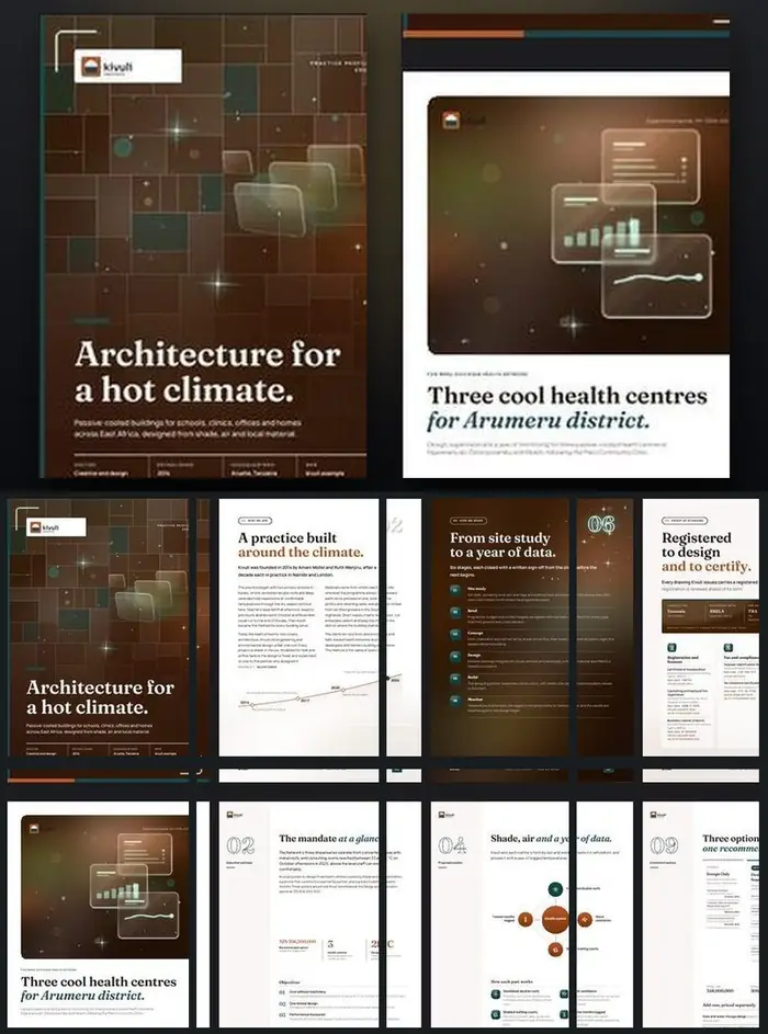 Investor documents, Kivuli Architects: finished specimen shown whole