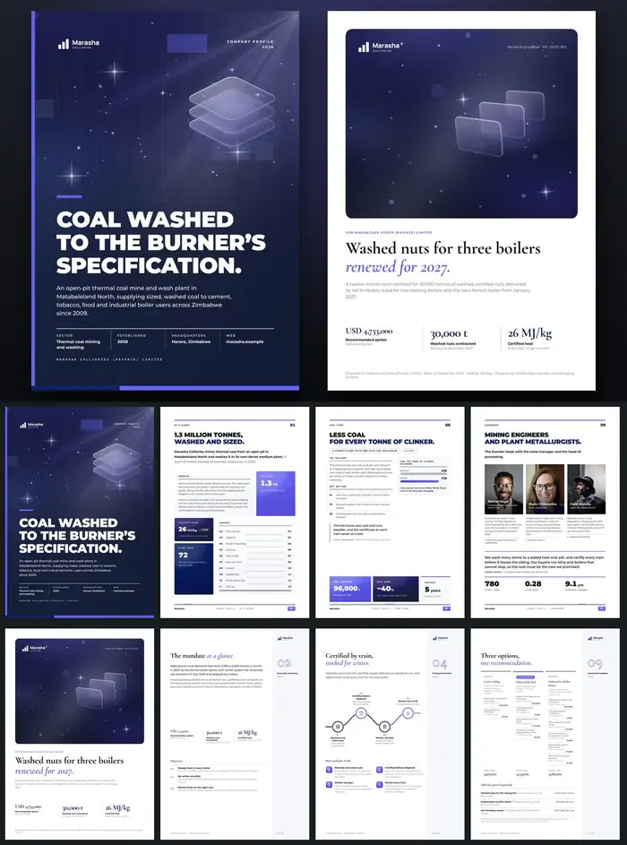 Investor documents, Marasha Collieries: finished specimen shown whole