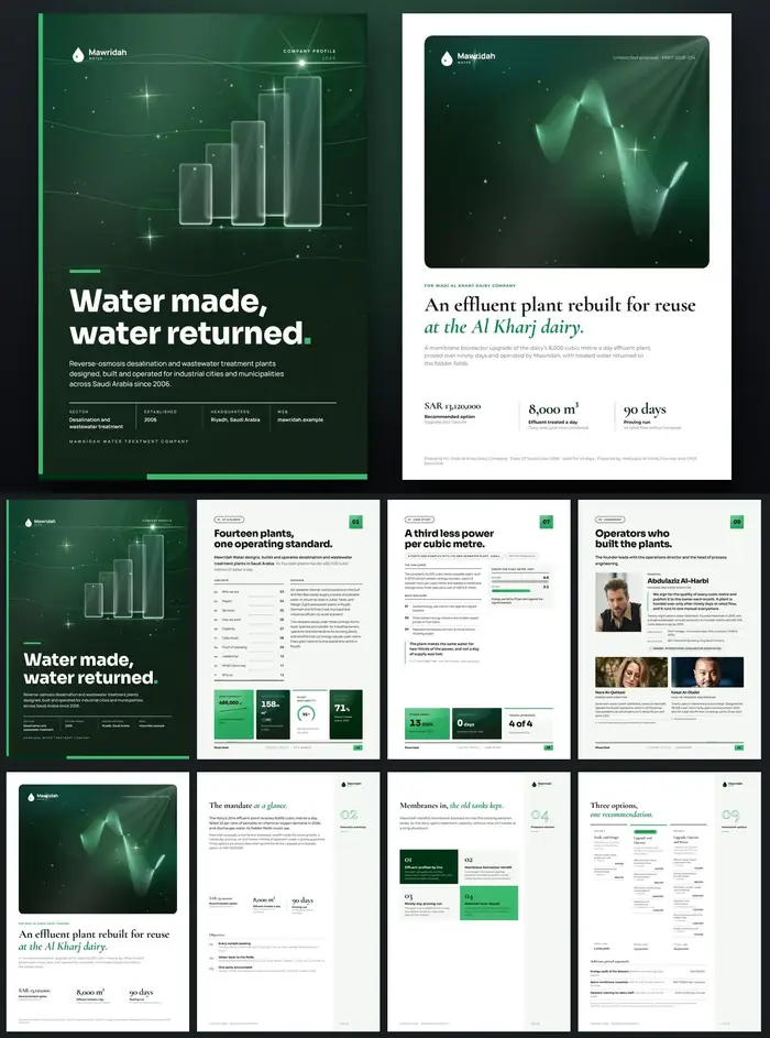 Investor documents, Mawridah Water: finished specimen shown whole