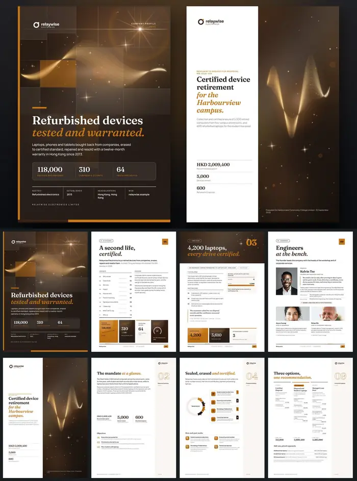 Investor documents, Relaywise Electronics: finished specimen shown whole