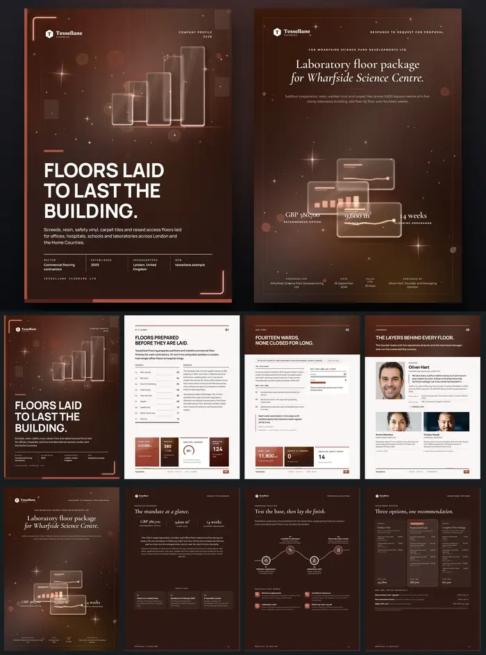 Investor documents, Tessellane Flooring: finished specimen shown whole