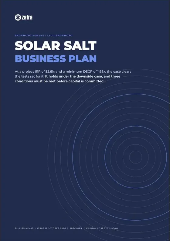 Solar salt, Business plan cover